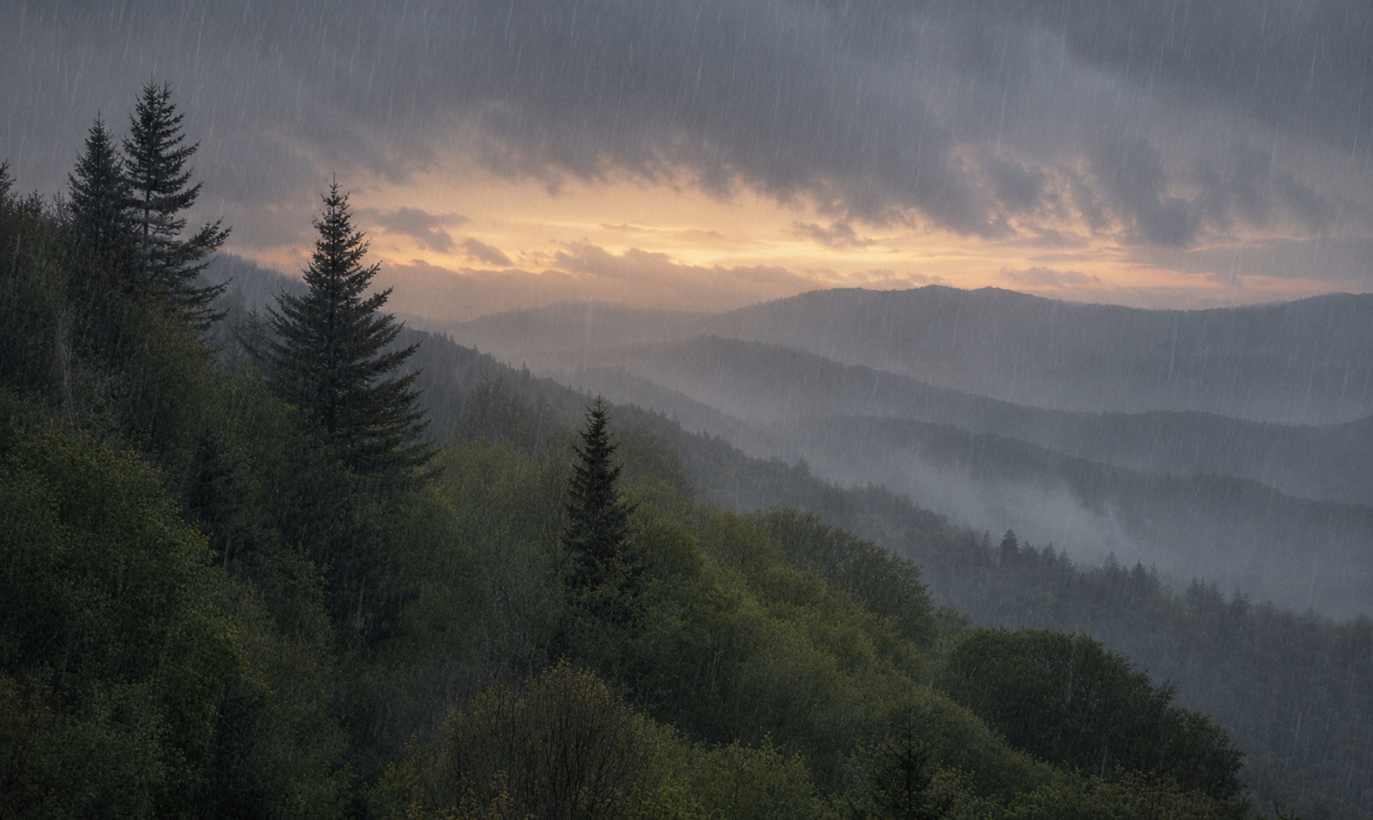 rainy day in the smoky mountains
