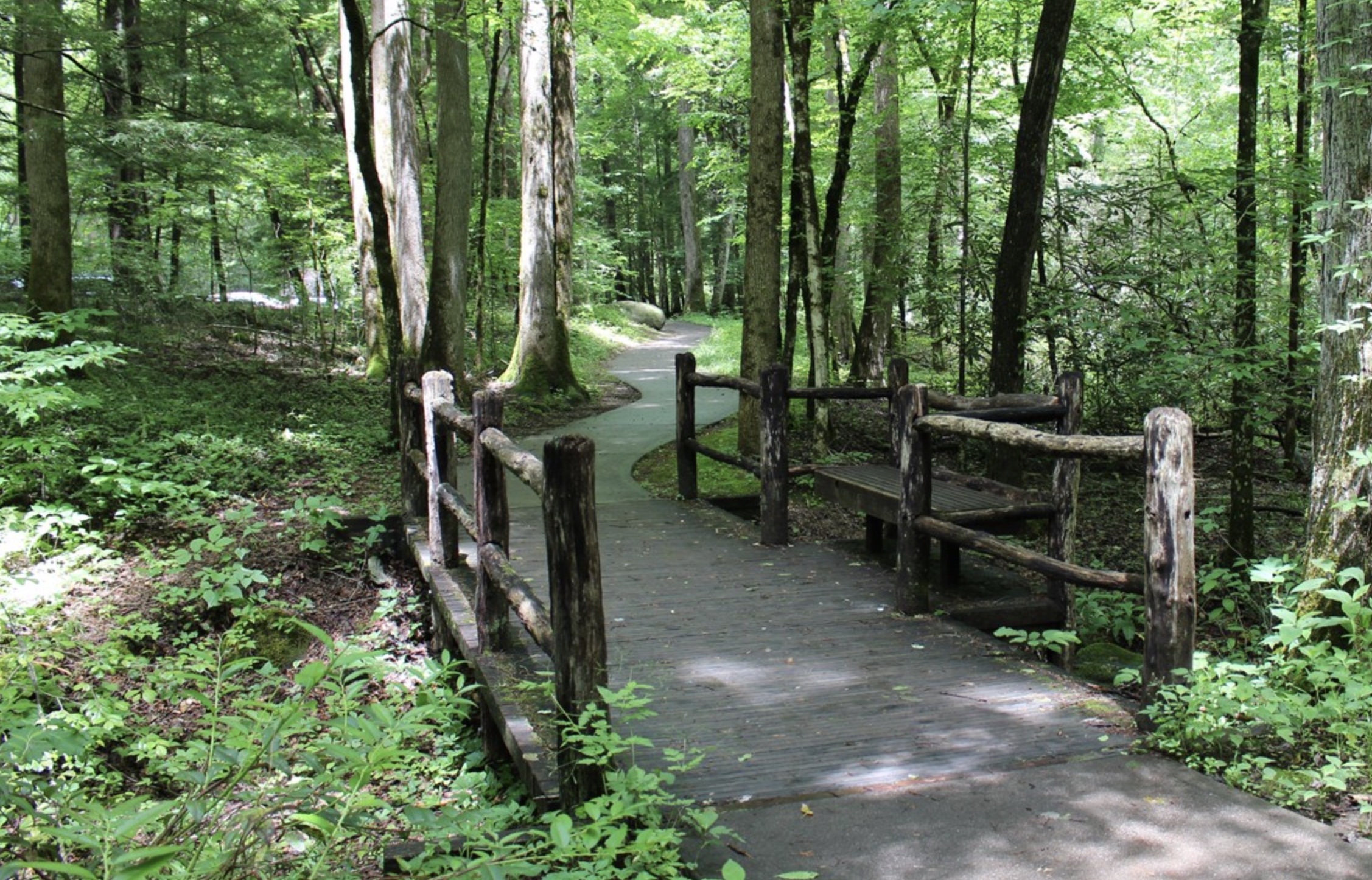 Bridge on Sugarlands Valley Nature Trail - Great Smoky Mountains National Park - Tennessee