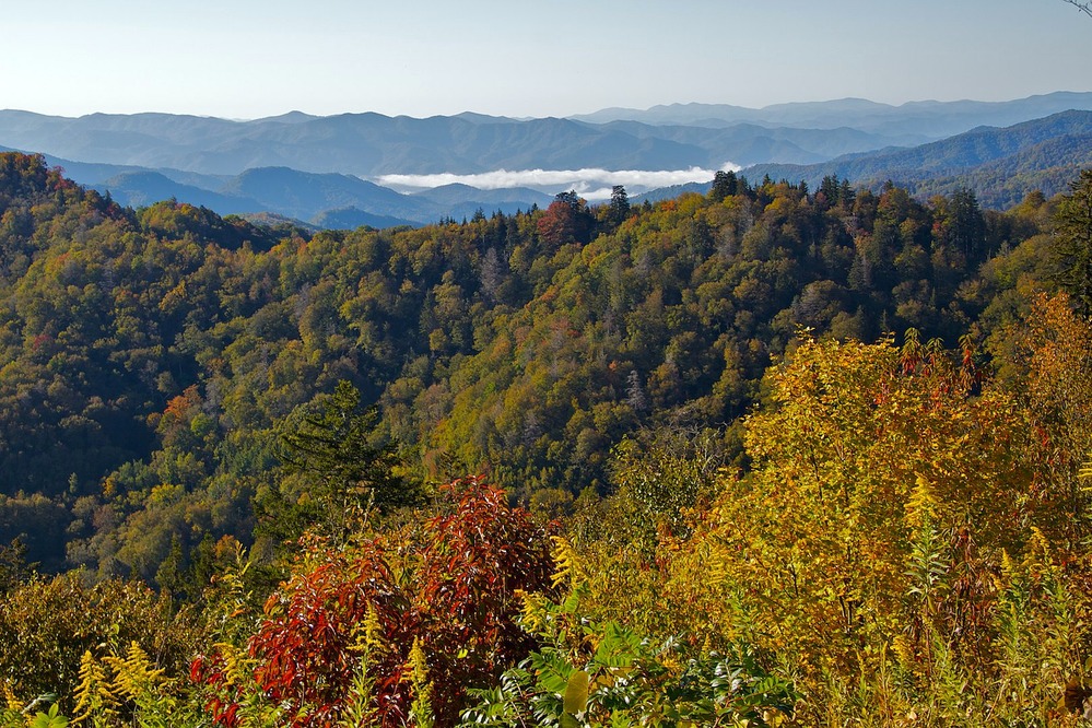Early fall colors at Newfound Gap - Great Smoky Mountains
